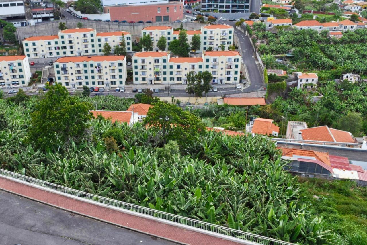 Design Gardens, A Home In Madeira Funchal  Bagian luar foto